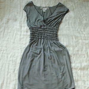 Max Studio Stretch Knit Dress